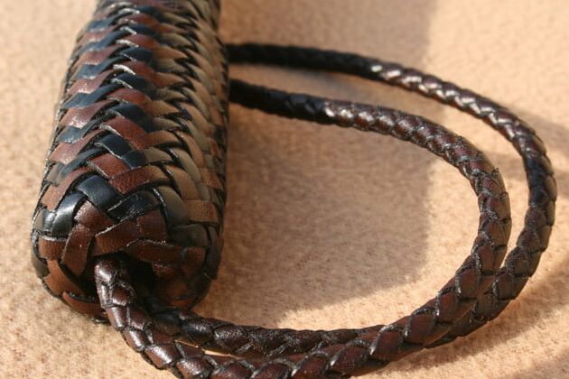 Roraima. Multi-tail flogger