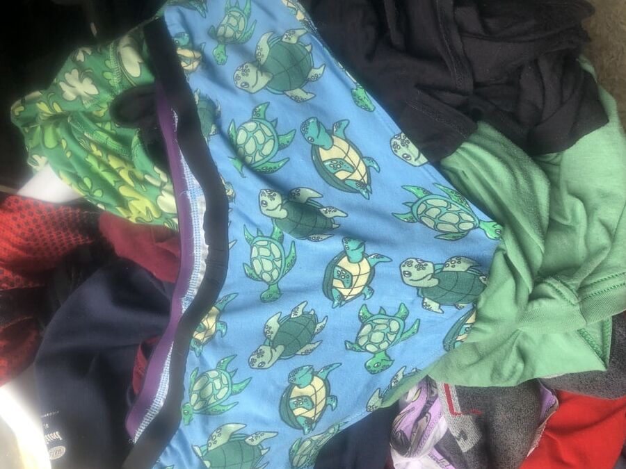 More of wifes panties