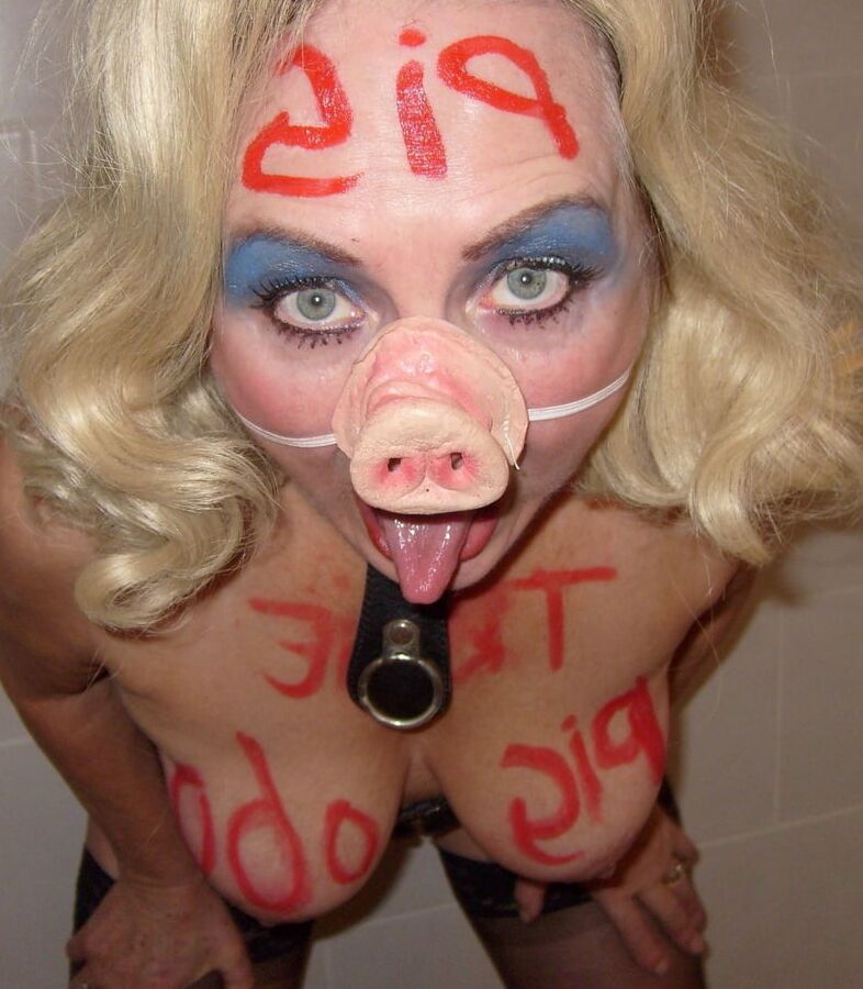 Pig