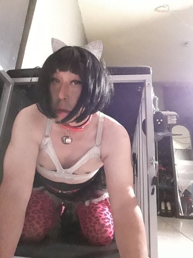 LolaSissypics
