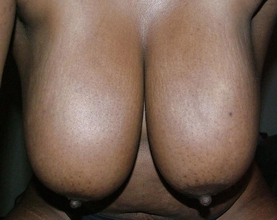 Boobs - Dajango
