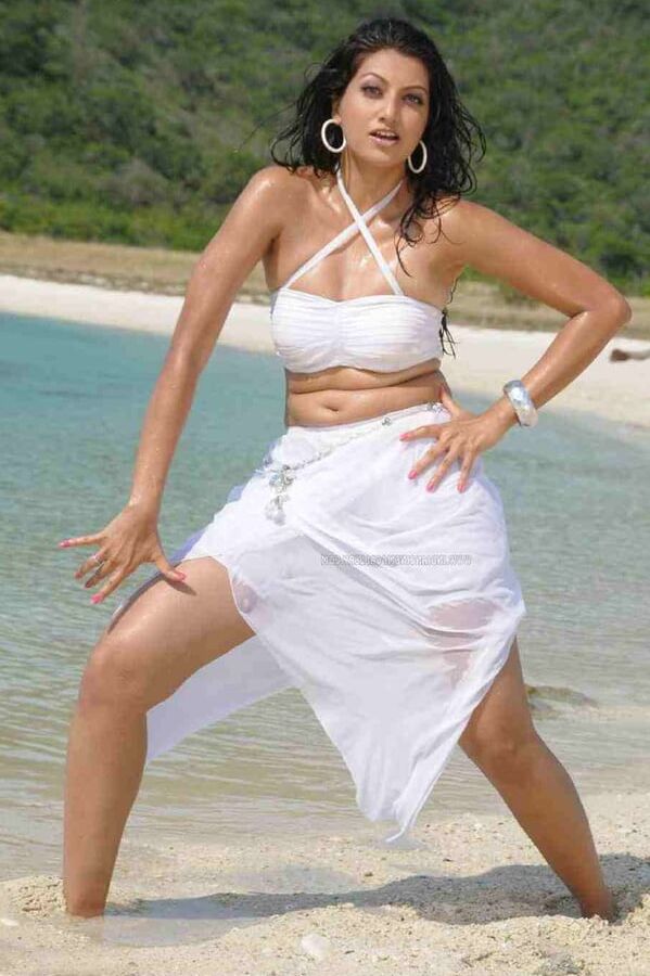 hamsa nandini