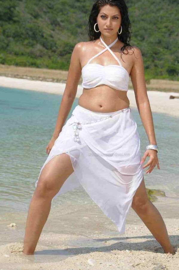 hamsa nandini