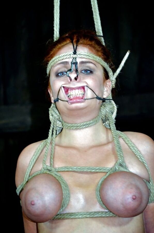 Bitches in bondage