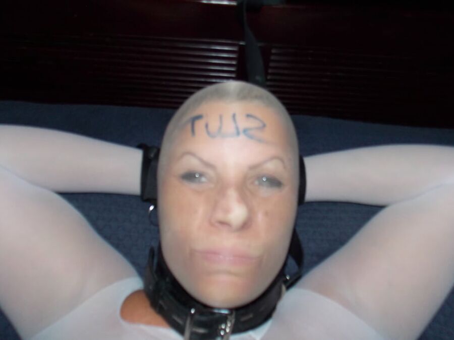 White Pantyhose Encased Pig