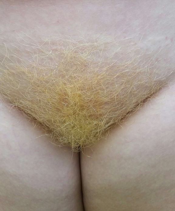 Meet the Bushs True Blonds