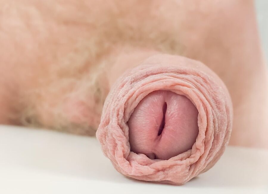 cock