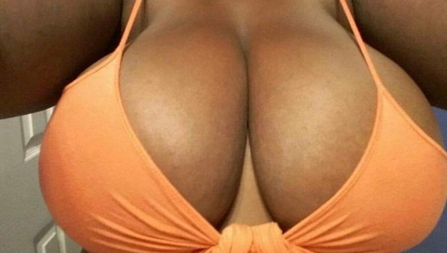 Black tits