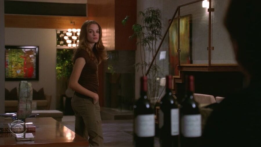 Danielle Panabaker
