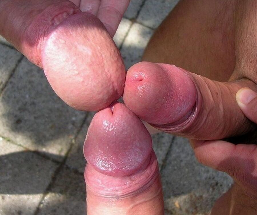 Cock