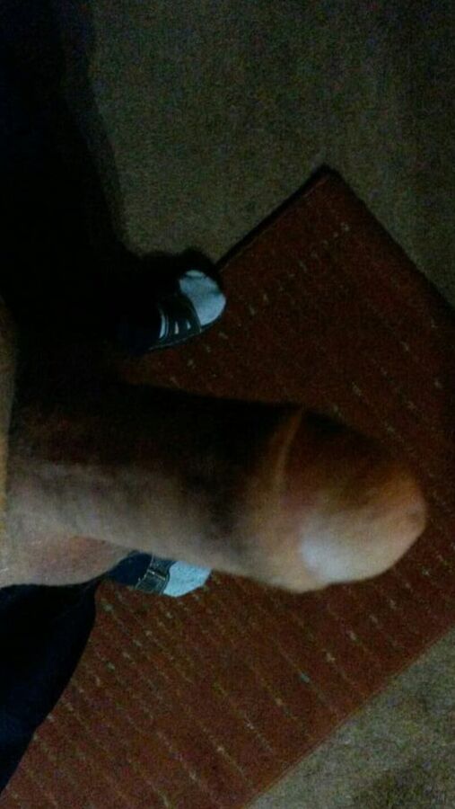 Mein Schwanz