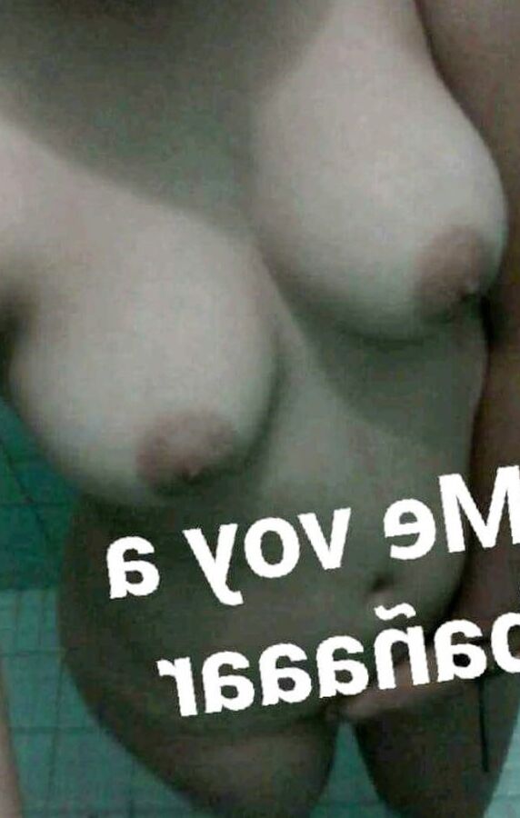Morrita putita