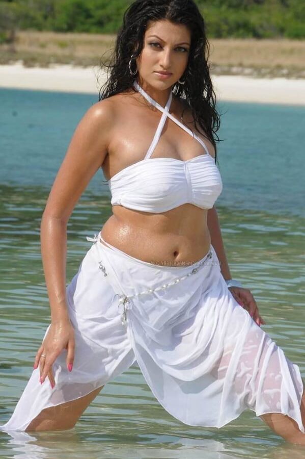 hamsa nandini