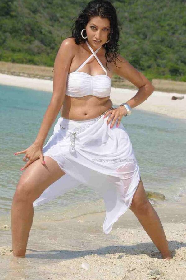 hamsa nandini