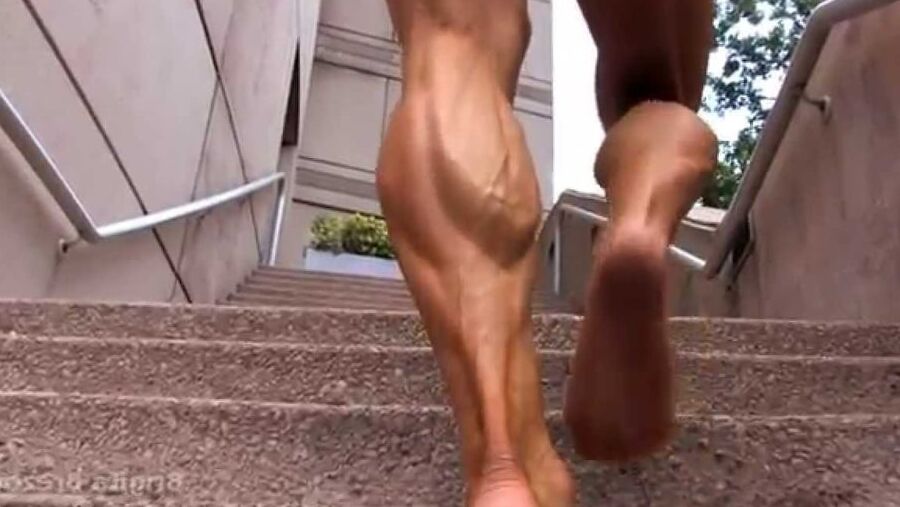 FBB CALVES&amp;LEGZ
