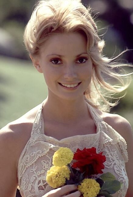 Cyndi Wood