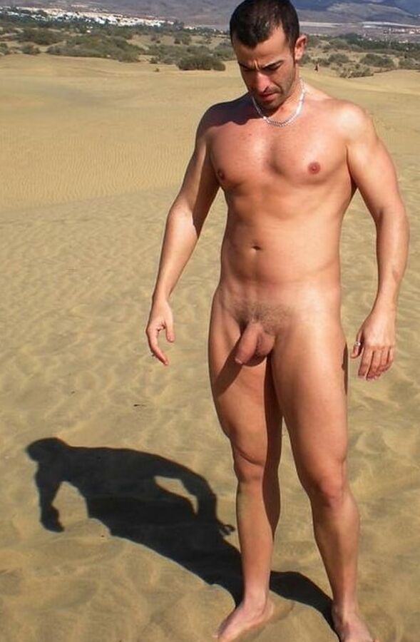 Cock