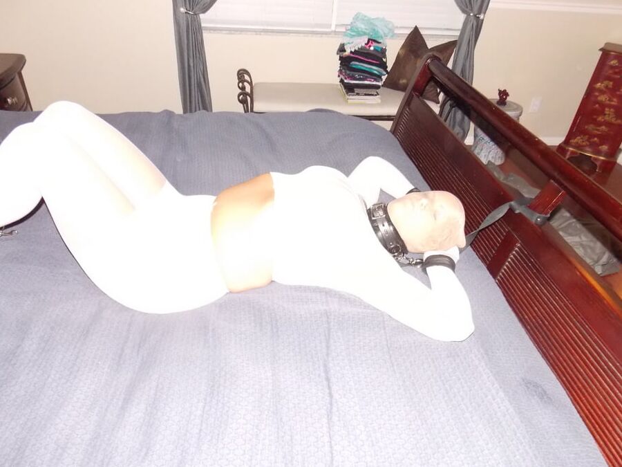 White Pantyhose Encased Pig