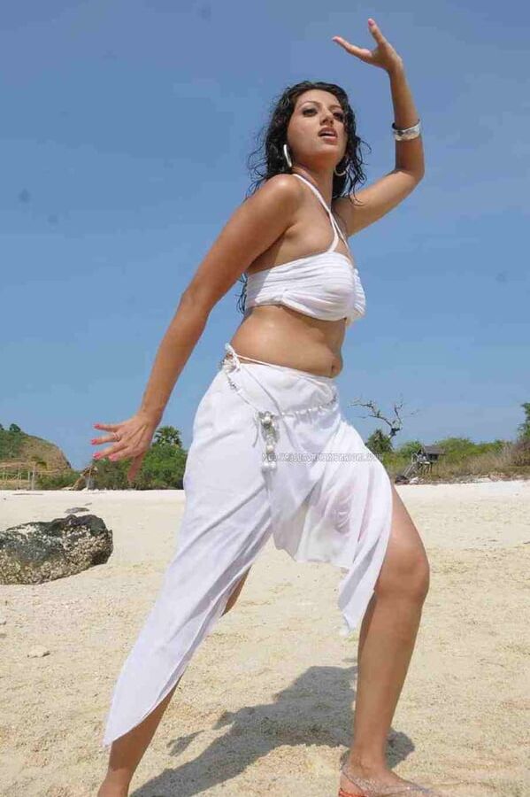 hamsa nandini