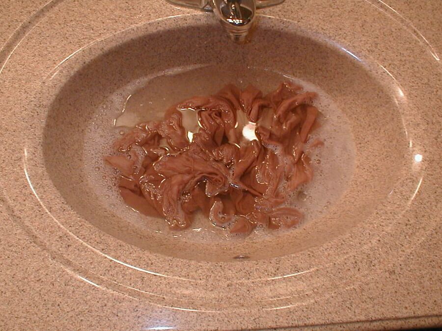 Handwashing the Wife&;s Pantyhose