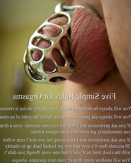 Chastity Cage