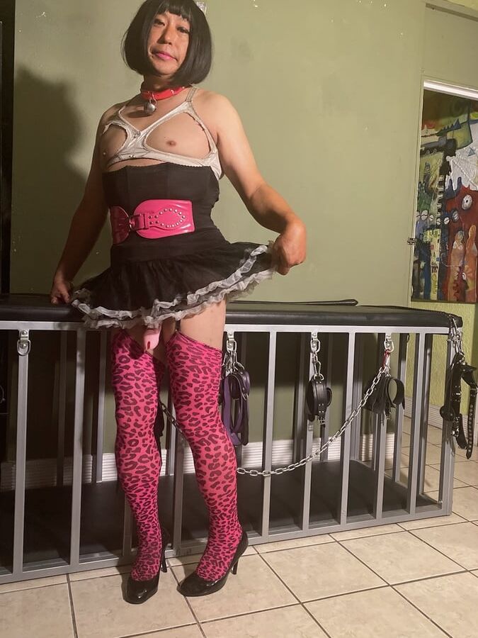 LolaSissypics