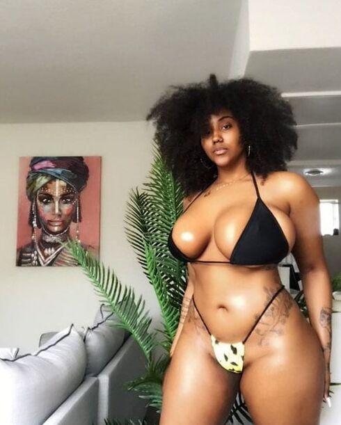 black en formes