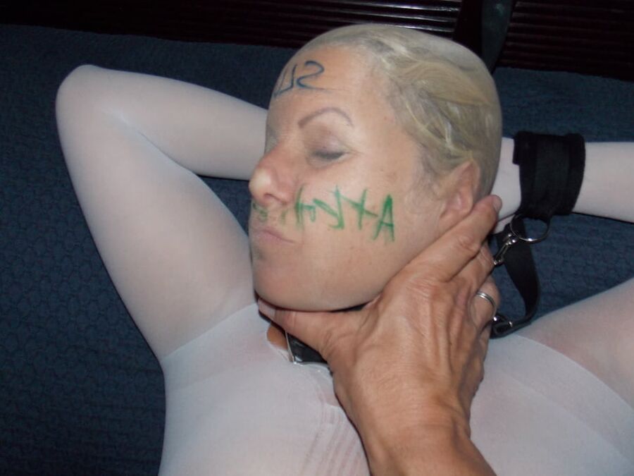 White Pantyhose Encased Pig