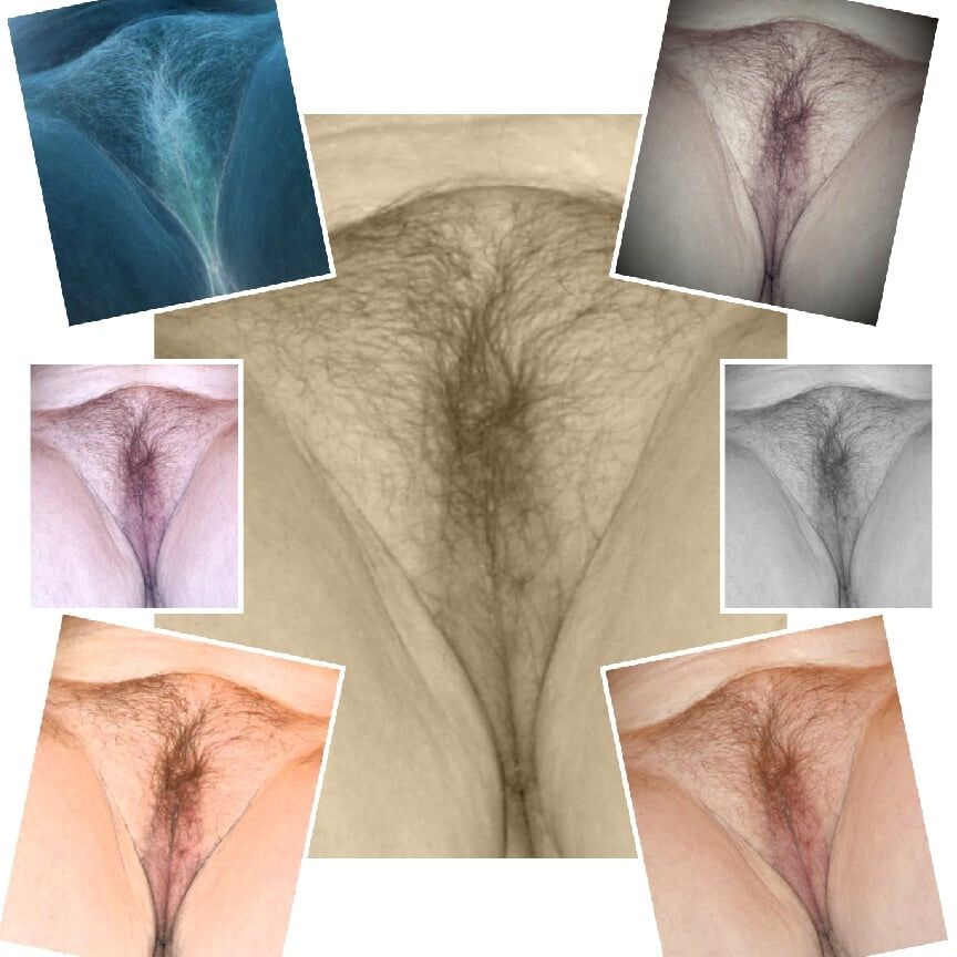 Tits, Bums and Pussies