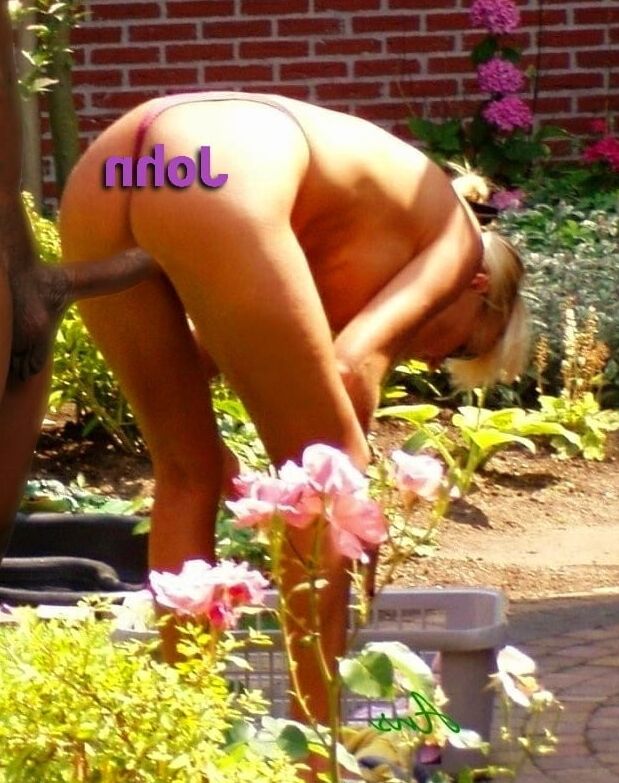 horny animal
