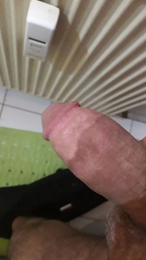 fick stute