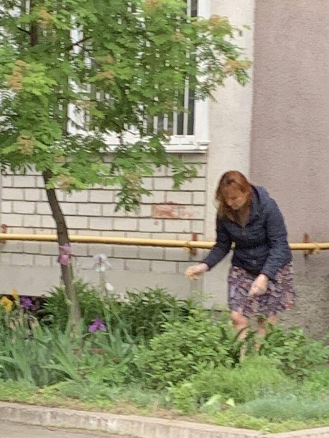 Sexy milf neighbor