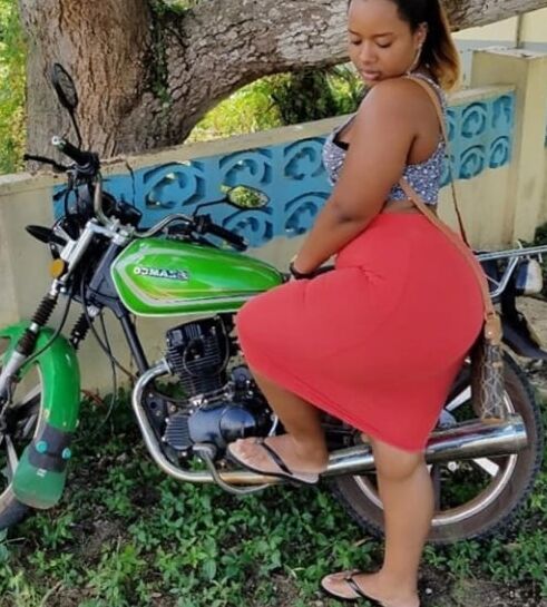 Thick jamaican pear bbw stephanie