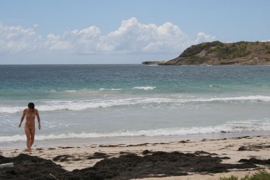 Offerte sur une plage en Martinique