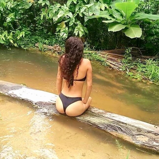 Beatriz a putinha para cum tributos
