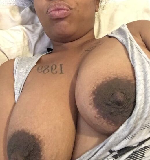 Titty Tues C Rose