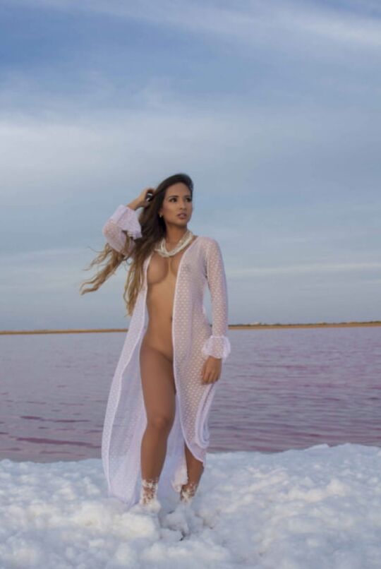 Veronicaweffer