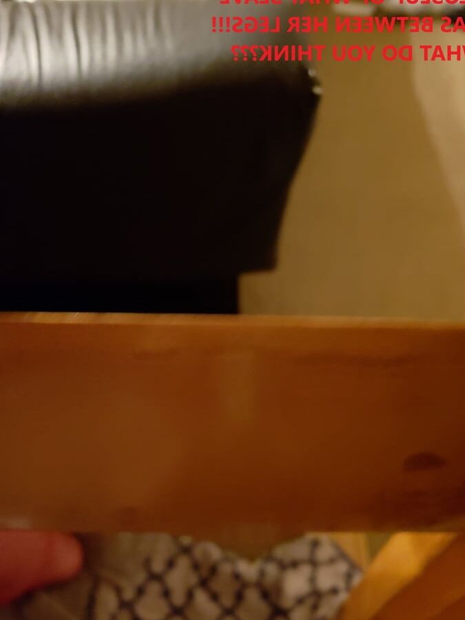 wooden pony
