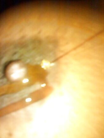 Taste Of Honey