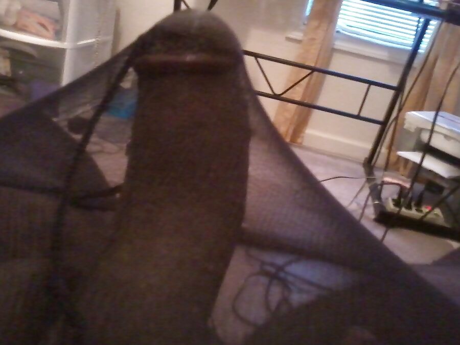 Club International: Black Fully Fashioned Stockings &amp; Sex