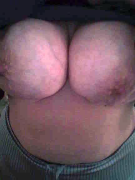 amat. tits