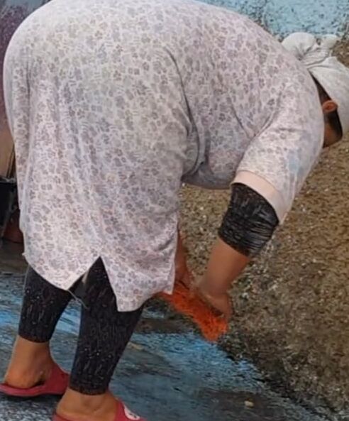 Morocco Ass