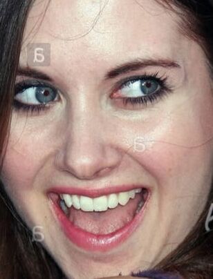ALISON BRIE