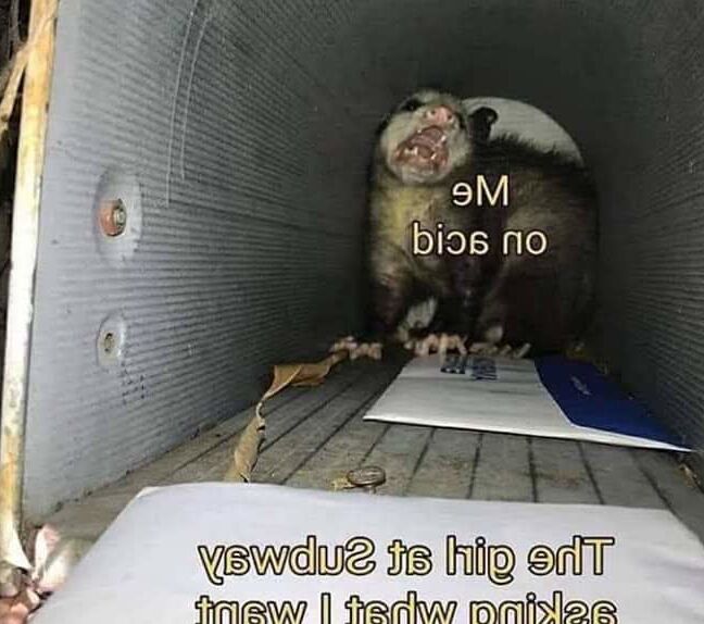 My Sex Themed Meme&;s
