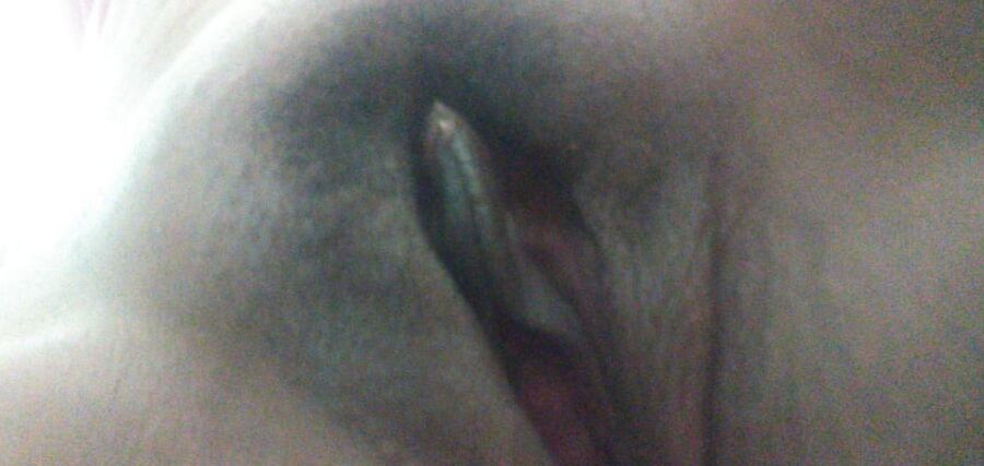 Recientes