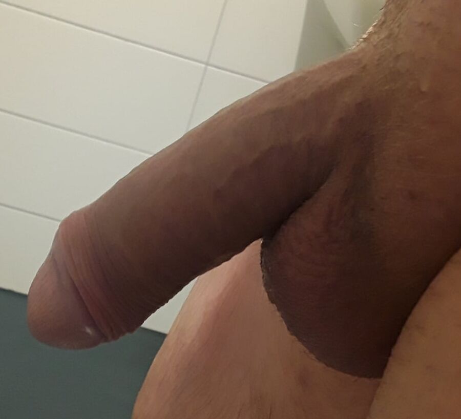 Schwanz sucht Schwanz