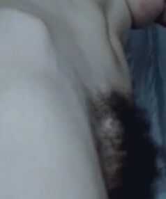 Bocetas cabeluda