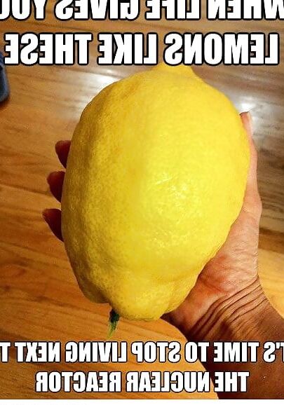 "When life gives you lemons ..."