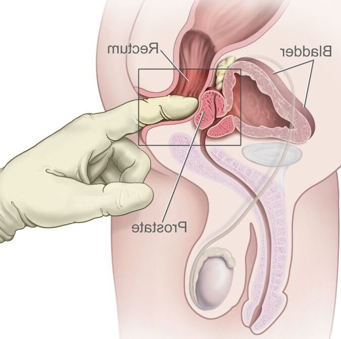 Educational for SISSY LIKE ME
