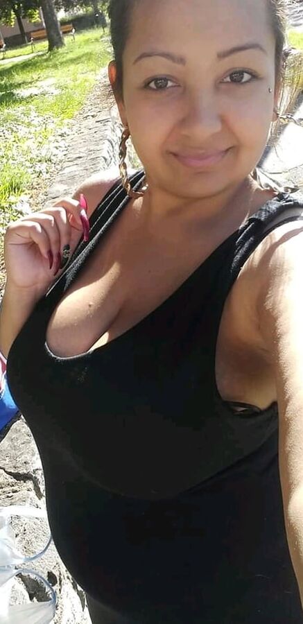 Rumena troia